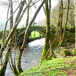 Le Des Anes A Chroniques Jou-sous-Monjou