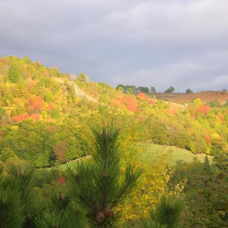 Le Des Anes A Chroniques * Jou-sous-Monjou