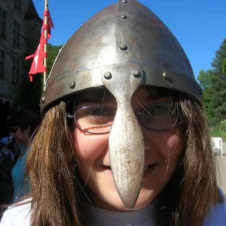 Le Des Anes A Chroniques