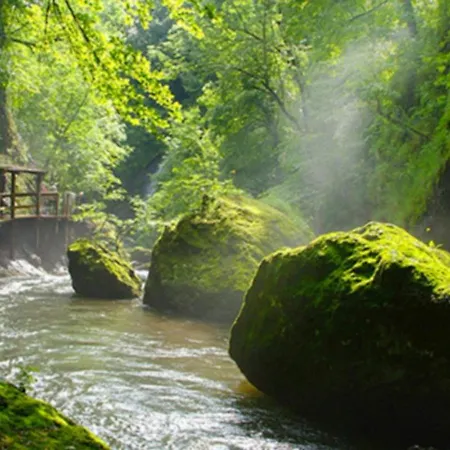 Le Des Anes A Chroniques *