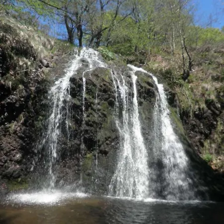 Le Des Anes A Chroniques *