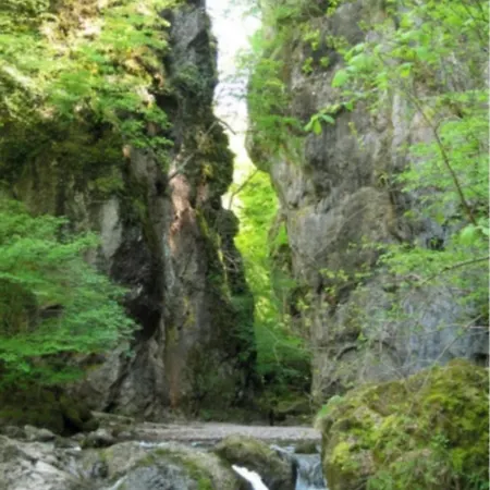 Le Des Anes A Chroniques Jou-sous-Monjou