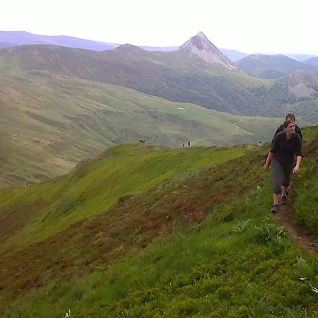 Le Des Anes A Chroniques Feriehus *