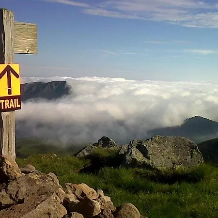 Le Des Anes A Chroniques *