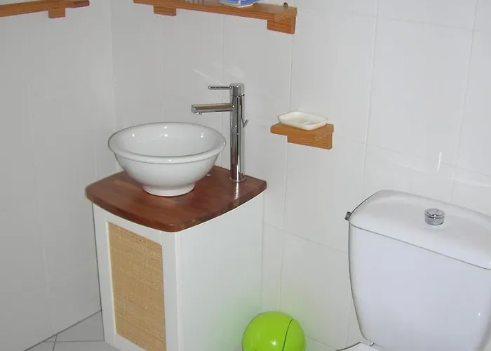 Le Des Anes A Chroniques Feriehus *