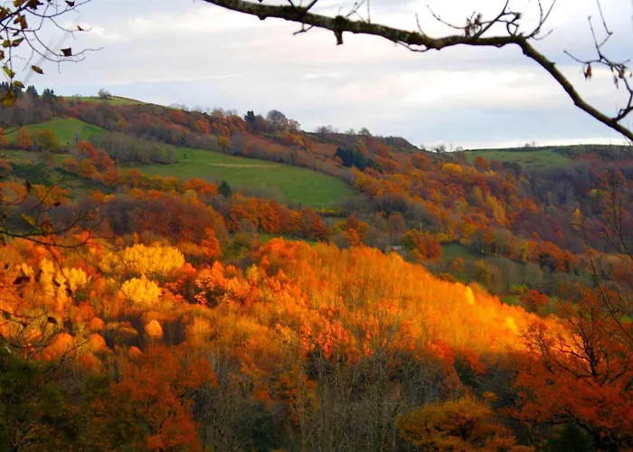 Le Des Anes A Chroniques Holiday home Jou-sous-Monjou
