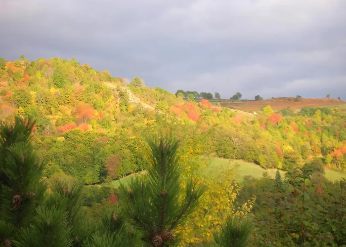 Le Des Anes A Chroniques * Jou-sous-Monjou