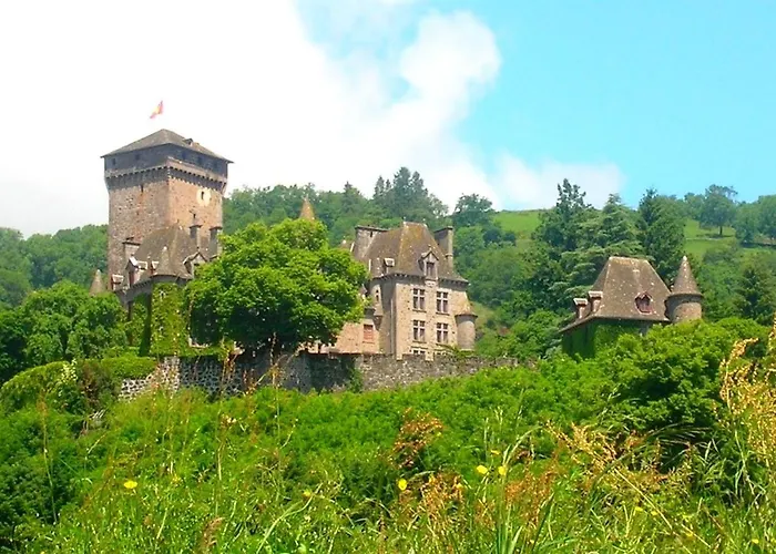 Le Des Anes A Chroniques *