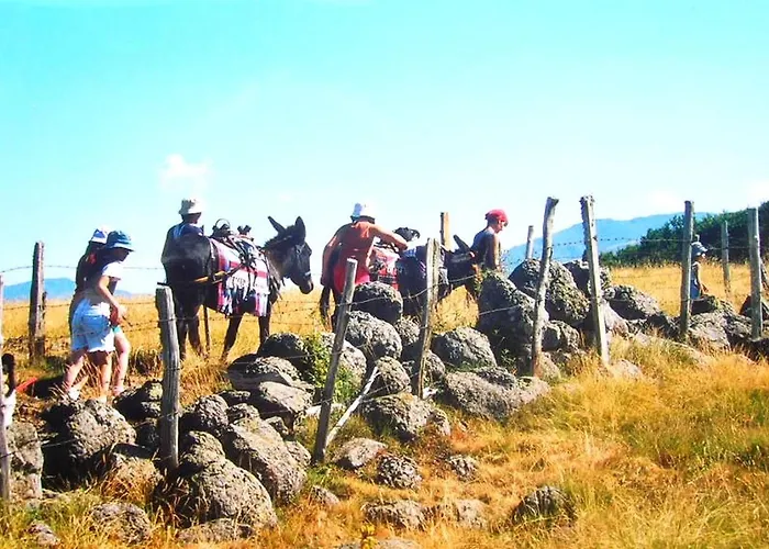 Le Des Anes A Chroniques * Jou-sous-Monjou