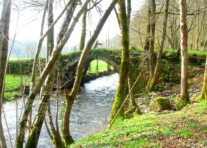 Le Des Anes A Chroniques Jou-sous-Monjou