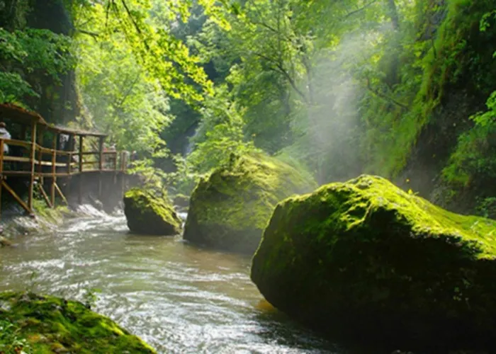 Le Des Anes A Chroniques *