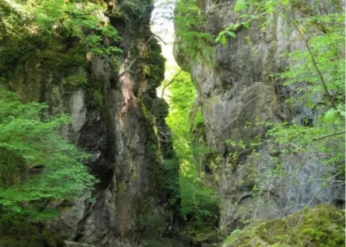 Le Des Anes A Chroniques Jou-sous-Monjou