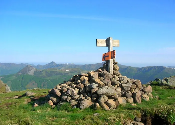 Le Des Anes A Chroniques Jou-sous-Monjou