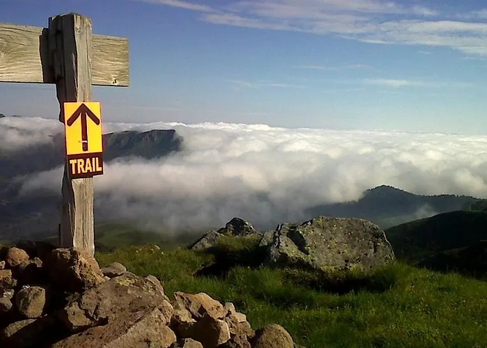 Le Des Anes A Chroniques *