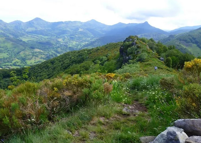 Le Des Anes A Chroniques Feriehus Jou-sous-Monjou