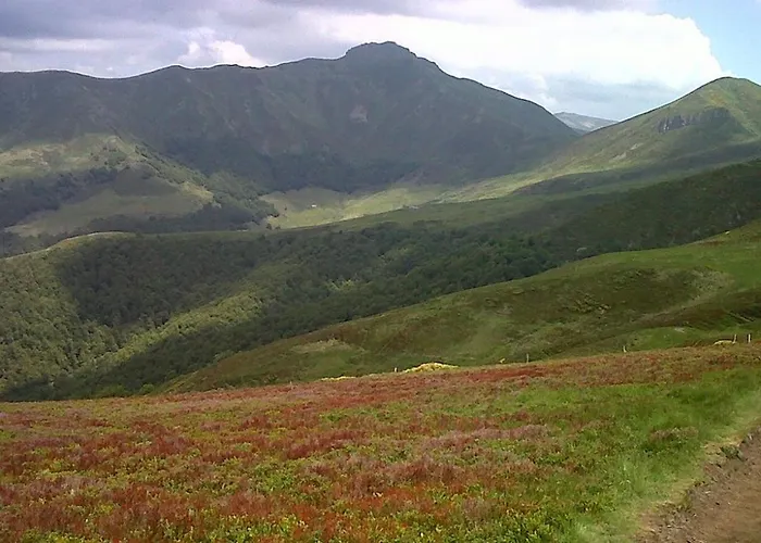 Le Des Anes A Chroniques *