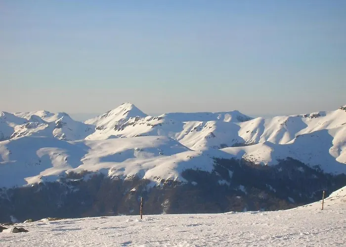 Le Des Anes A Chroniques * Jou-sous-Monjou