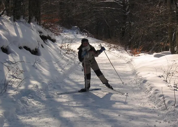 Le Des Anes A Chroniques Feriehus *